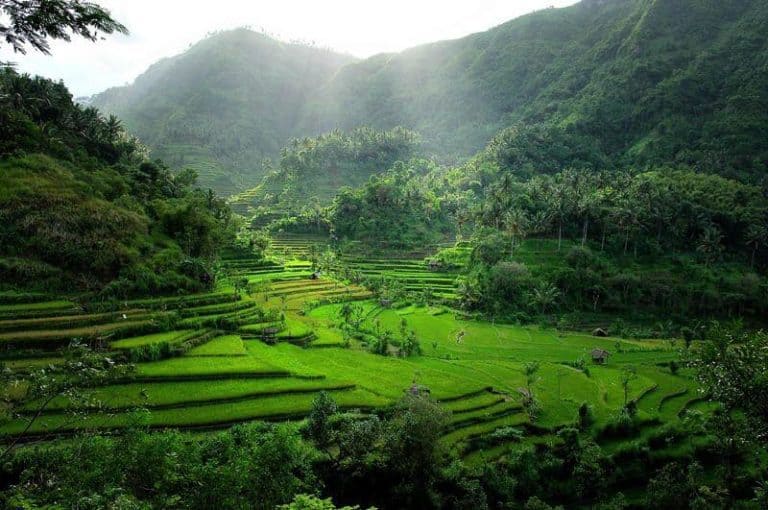 Bali rizières en terrasses mystique