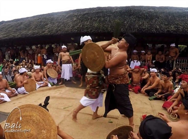 Bali Tenganan tradition fight