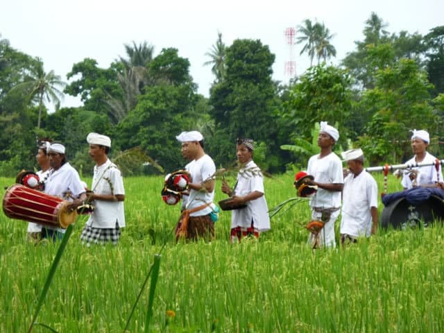 Bali traditionnel rice field ngelawang barong