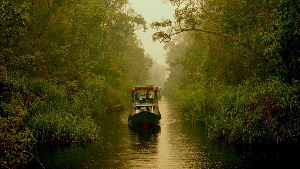 Borneo Tanjung Puting croisière rivière bateau Kalimantan Indonésie