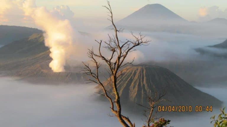 Bromo volcan Java arbre fumée