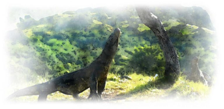 voyage Komodo Parc