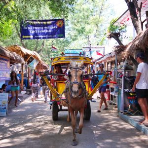 Gili Trawangan cheval charette rue iles Gili Indonésie Lombok