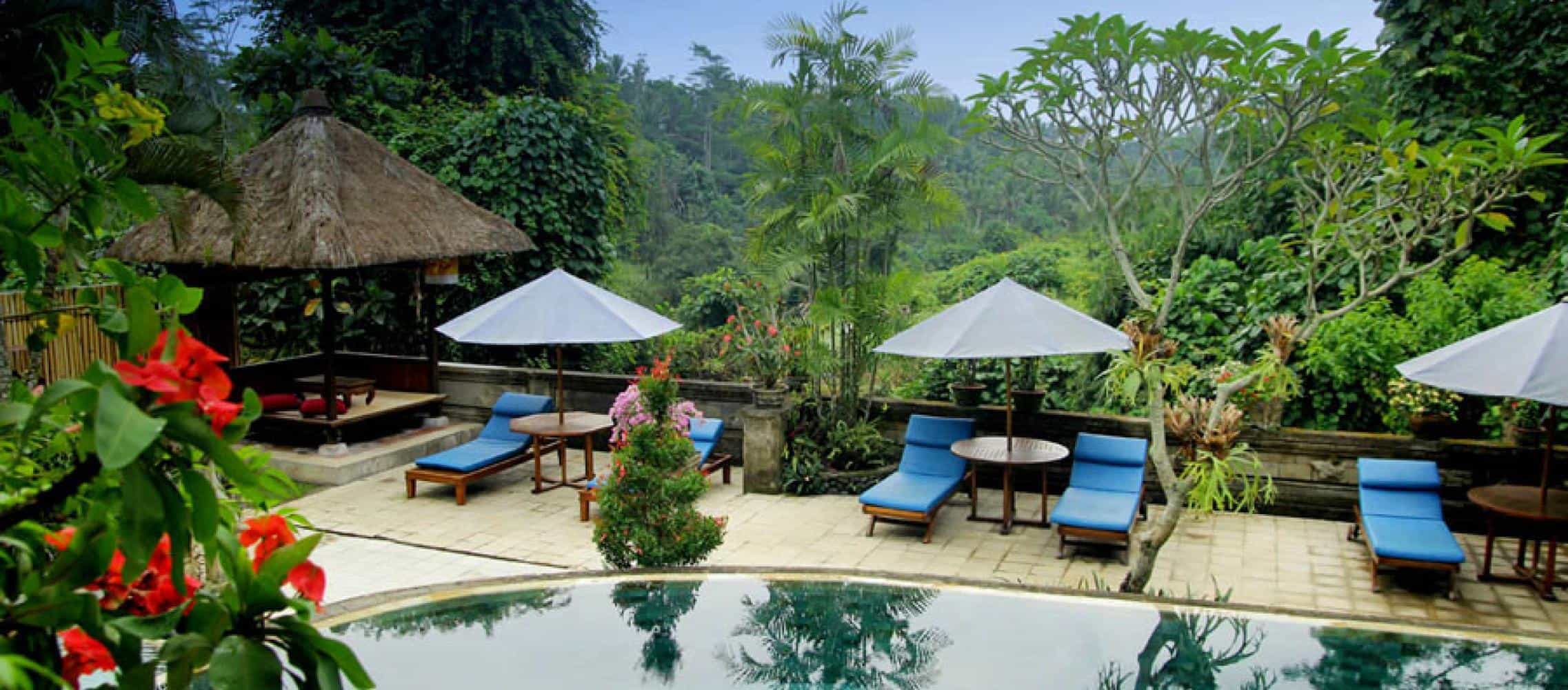 hotel bali ubud panorama
