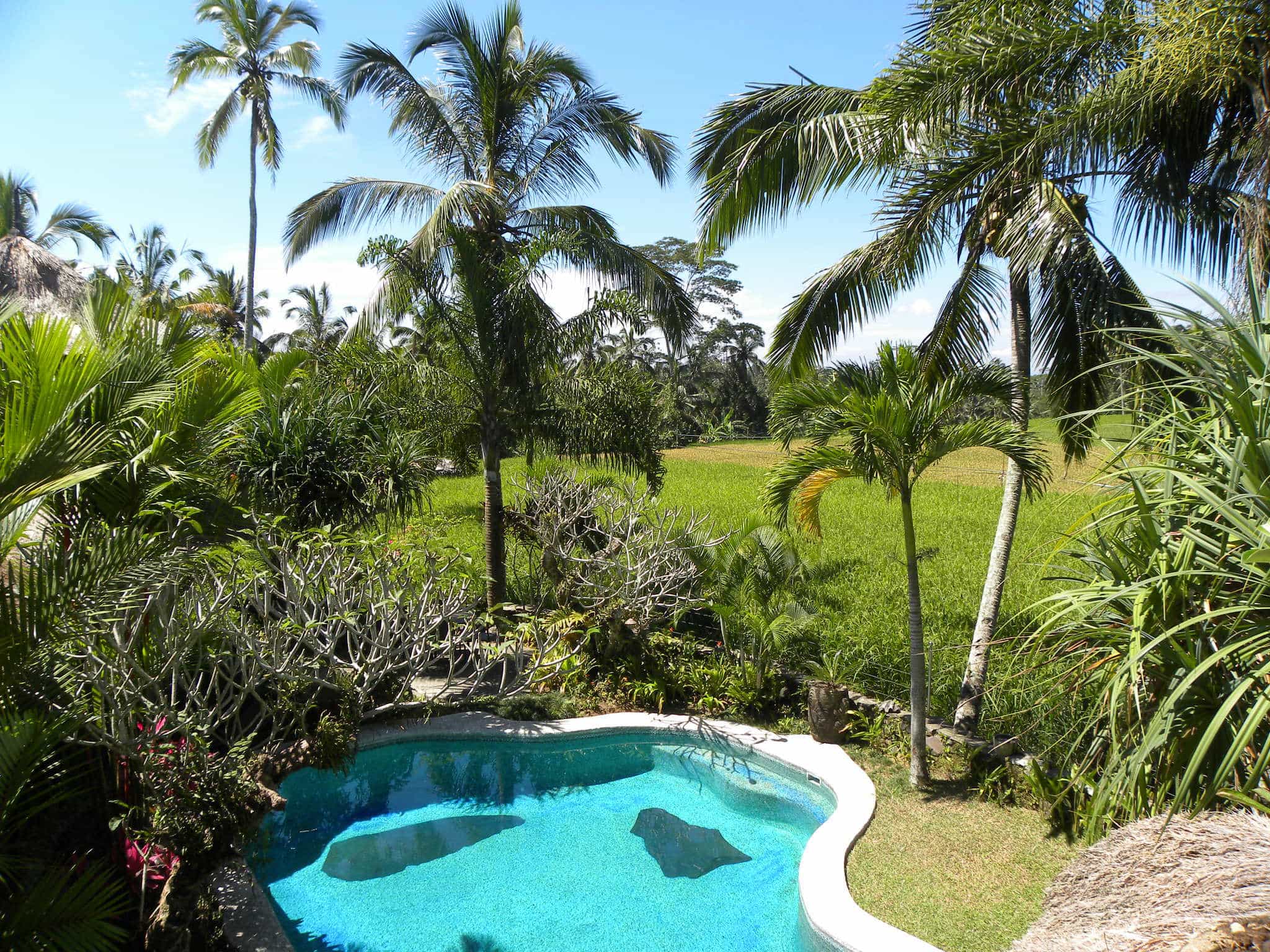 hotel bali ubud végétation panorama