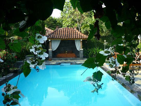 hotel Java Jogjakarta vue piscine