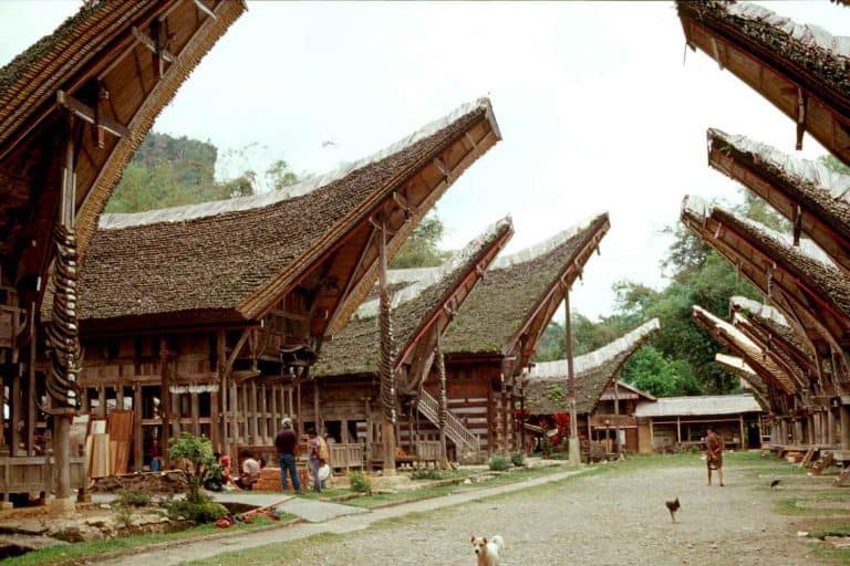 kete kesu village authentique sulawesi indonesie