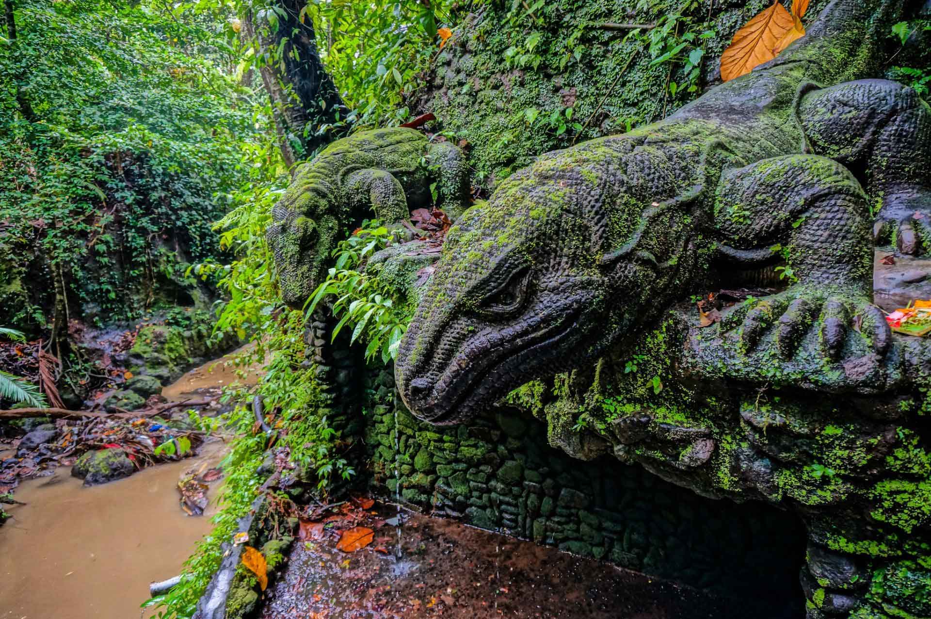 Komodo Dragon Monkey Forest Ubud Bali