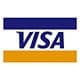 Logo Visa Credit Card