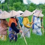 lombok rizieres travailleuses voyage