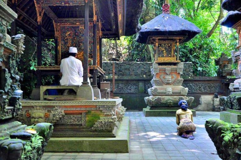 Monkey Forest Ubud Bali Prêtre Prière