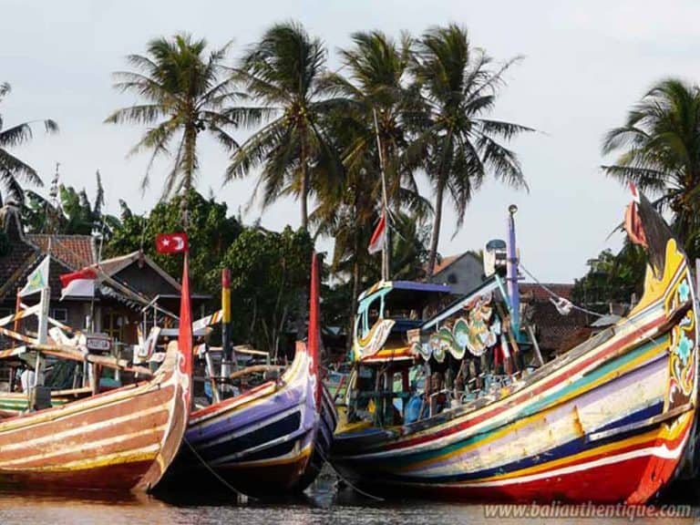 port peche jember java bateaux panorama