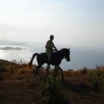 randonnee cheval sumbawa indonesie
