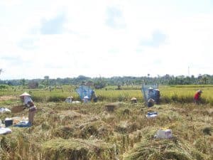 voyage à bali aventure rizières indonésie