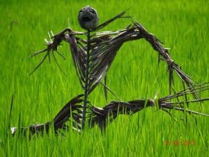 Scarecrow Bali rice fields doll lelakut