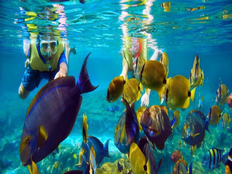 snorkeling Bali Indonesia