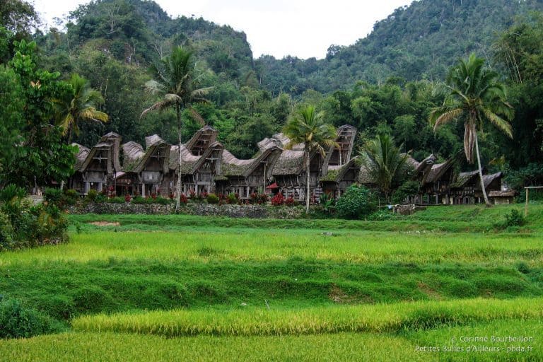 sulawesi toraja maison traditionnelle kete kesu