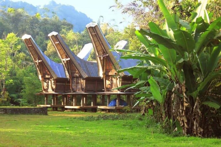 maison traditionnelle Sulawesi Toraja Indonésie