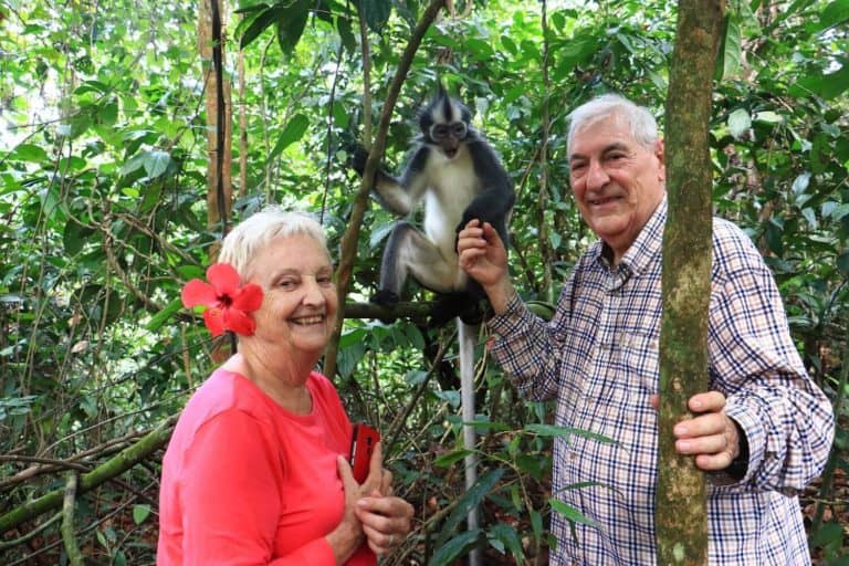 temoignage avis sumatra jungle singe