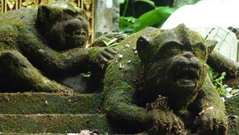 temple balinais purification
