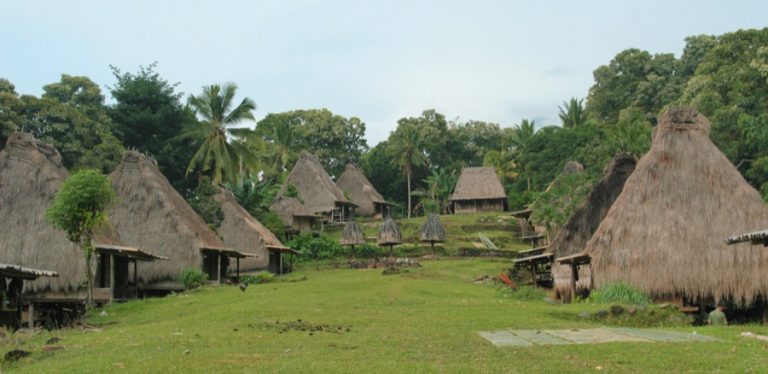 village traditionnel Belaraghi Flores