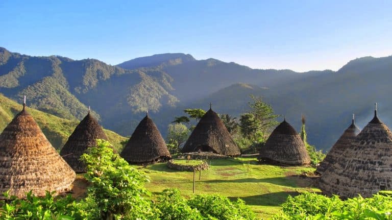 village traditionnel Waerebo Flores