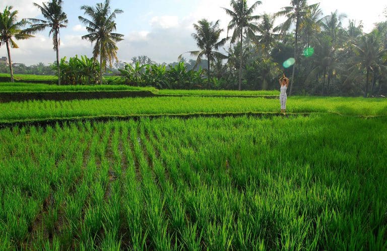 faire du yoga à bali